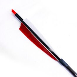 Elong CX6 Carbon Arrows with Feather Fletching